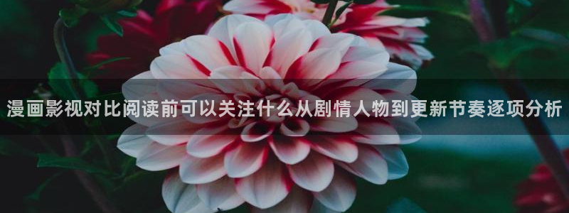 漫蛙漫画漫画网址大全：漫画影视对比阅读前可以关注什么从剧情人物到更新节奏逐项分析