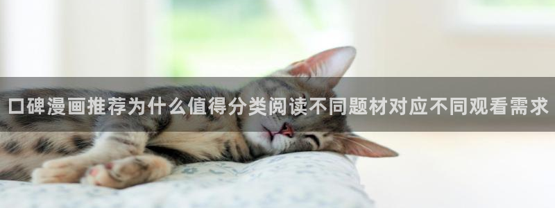漫蛙漫画最新网页入口:口碑漫画推荐为什么值得分类阅读不同题材对应不同观看需求