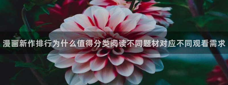漫蛙漫画漫画连载：漫画新作排行为什么值得分类阅读不同题材对应不同观看需求