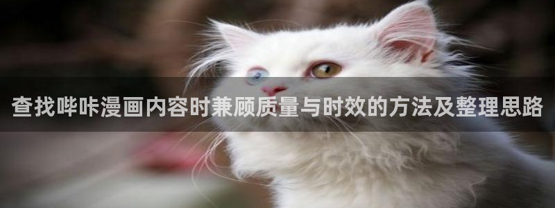 漫蛙漫画最新入口：查找哔咔漫画内容时兼顾质量与时效的方法及整理思路