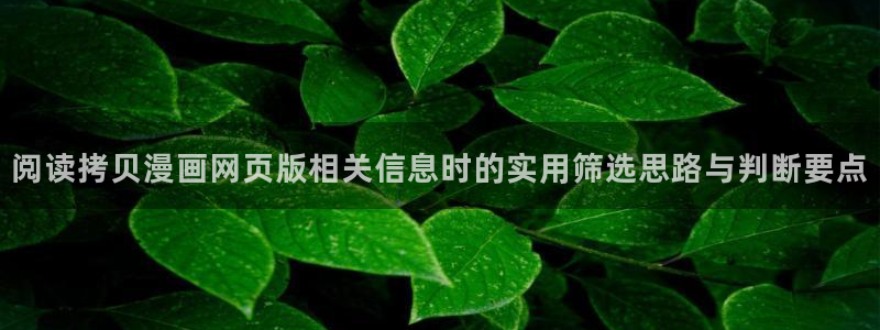 漫蛙漫画漫画分类：阅读拷贝漫画网页版相关信息时的实用筛选思路与判断要点