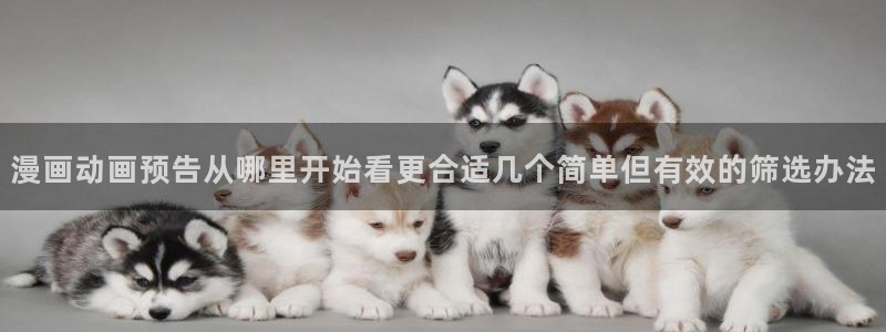 漫蛙漫画在线阅读:漫画动画预告从哪里开始看更合适几个简单但有效的筛选办法